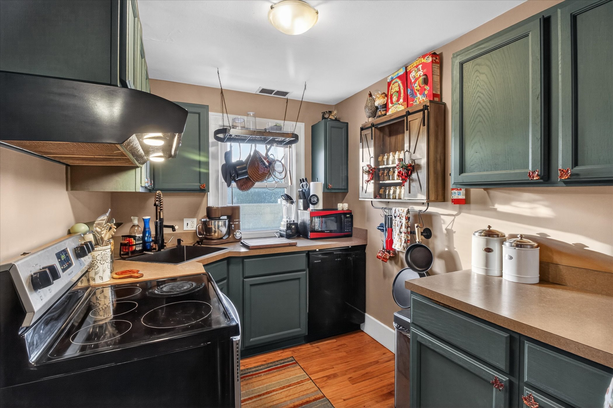 12-1214-Lincoln-Ave-Lincoln-Park-MI-48146-WindowStill